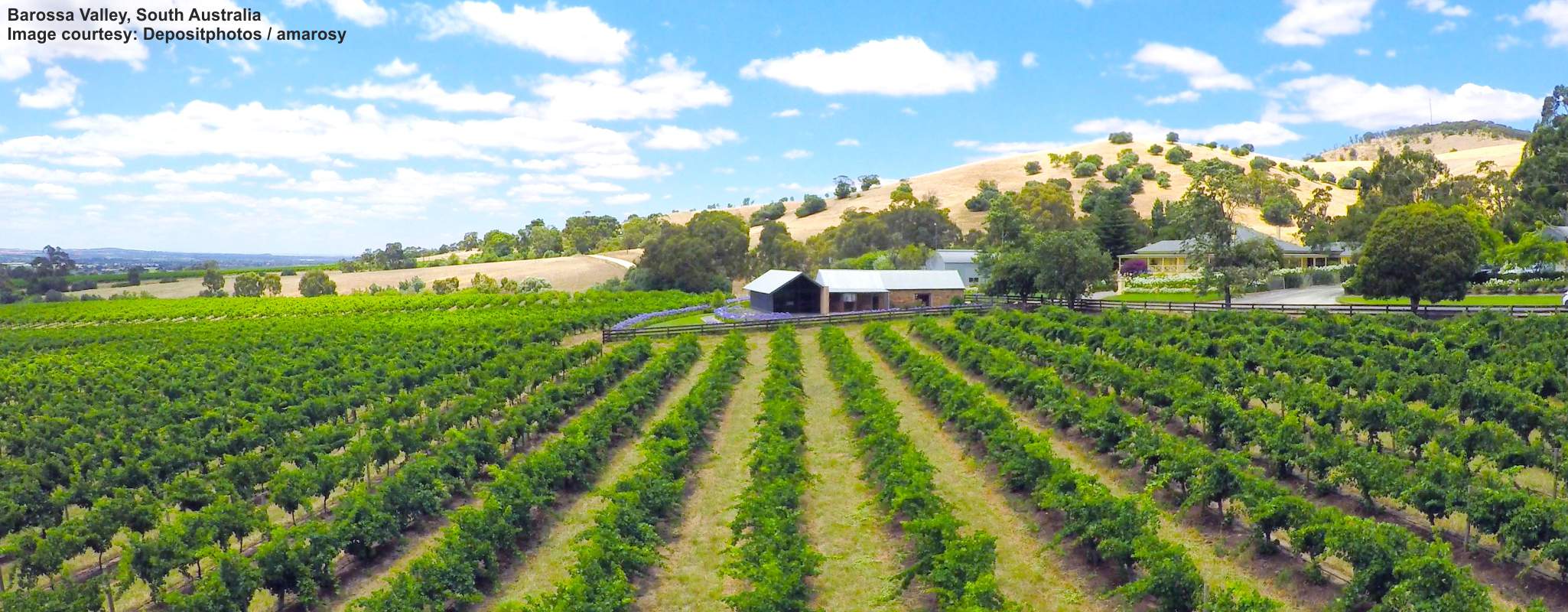 Barossa Valley image