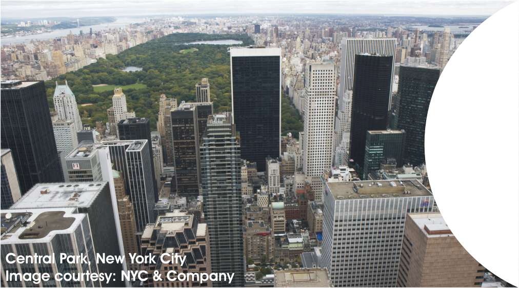 New York City Image 1
