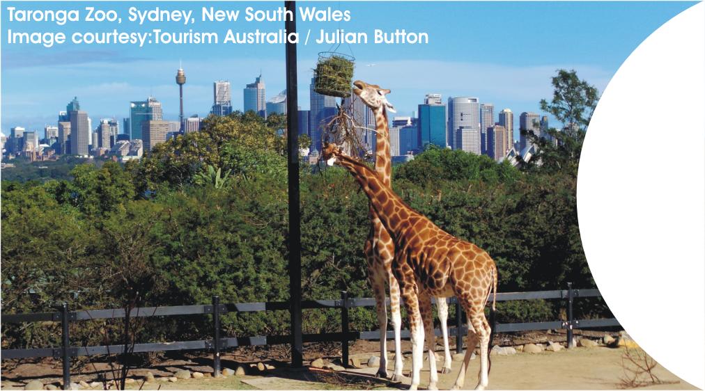 Sydney Image 2