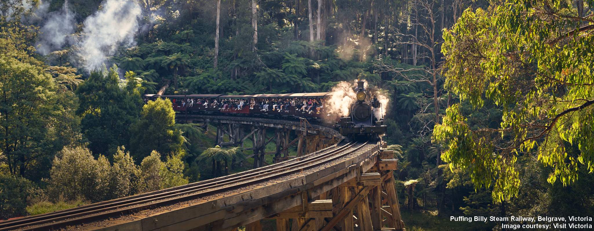 Yarra Valley & Dandenong Ranges image