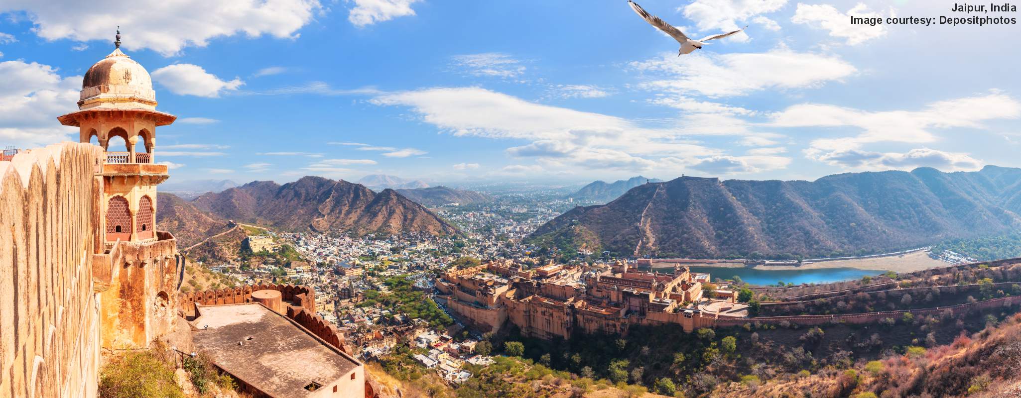 Jaipur image