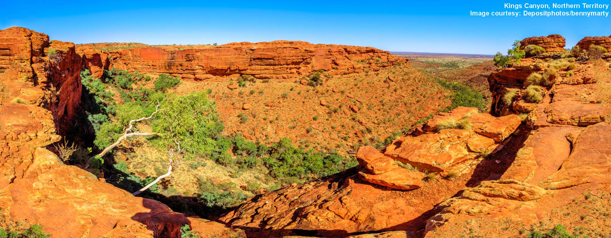 Kings Canyon image