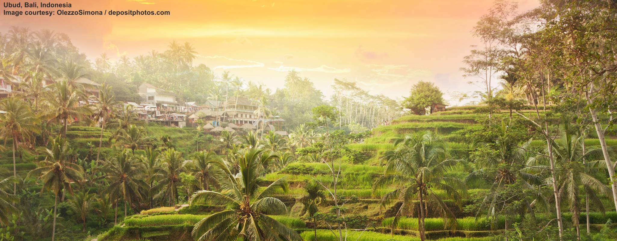 Ubud image