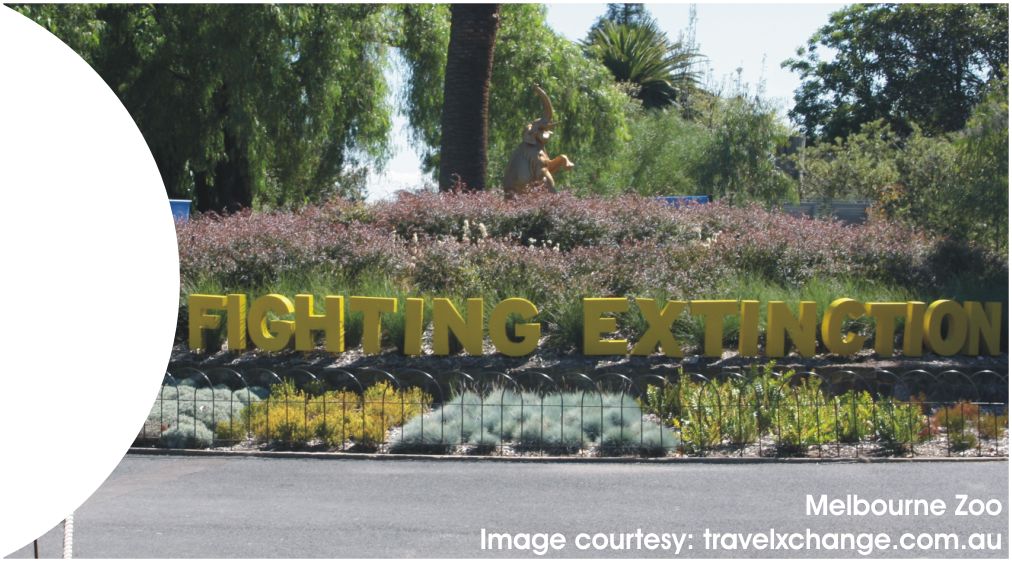 North Melbourne RHS image