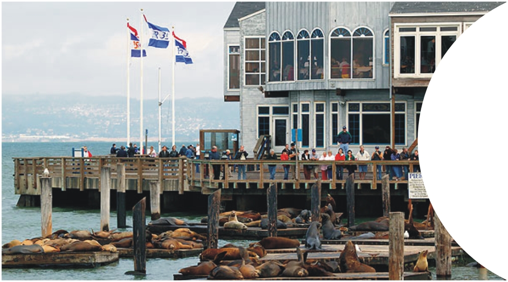 Fishermans Wharf LHS image