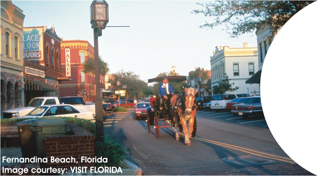Amelia Island LHS image