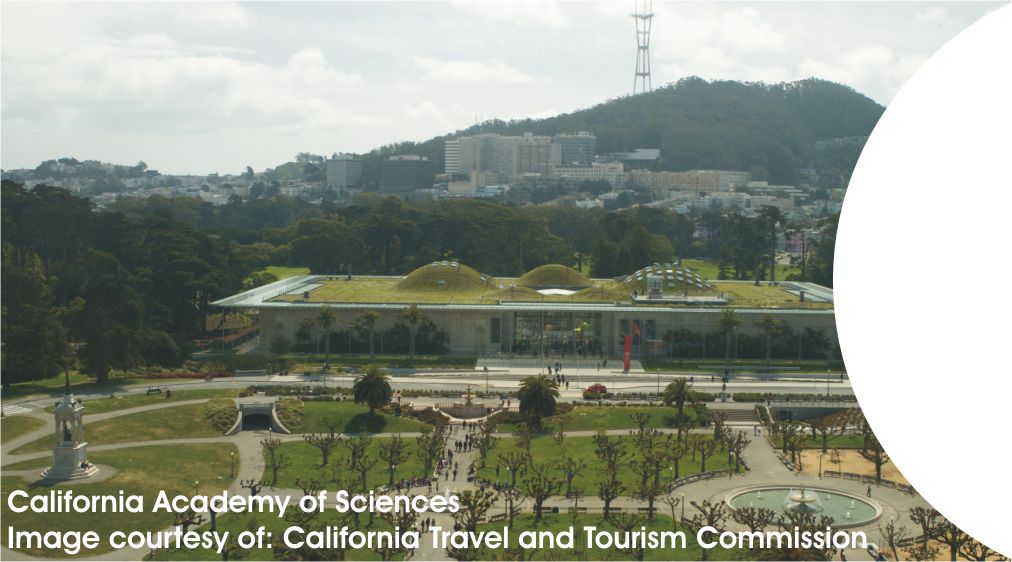 Golden Gate Park & Sunset LHS image