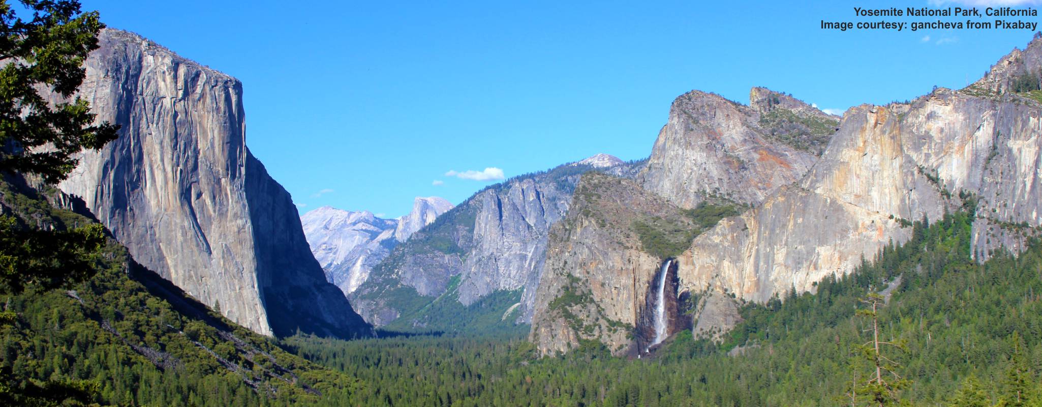 California image