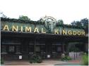 Disney's Animal Kingdom
