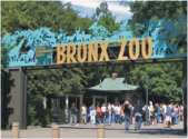 Bronx Zoo