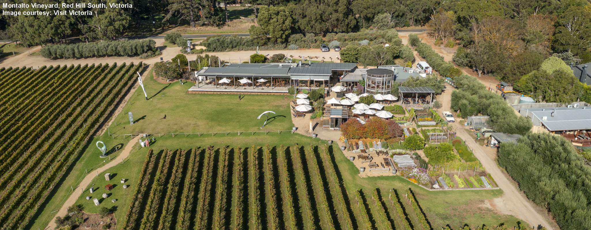Montalto Winery image